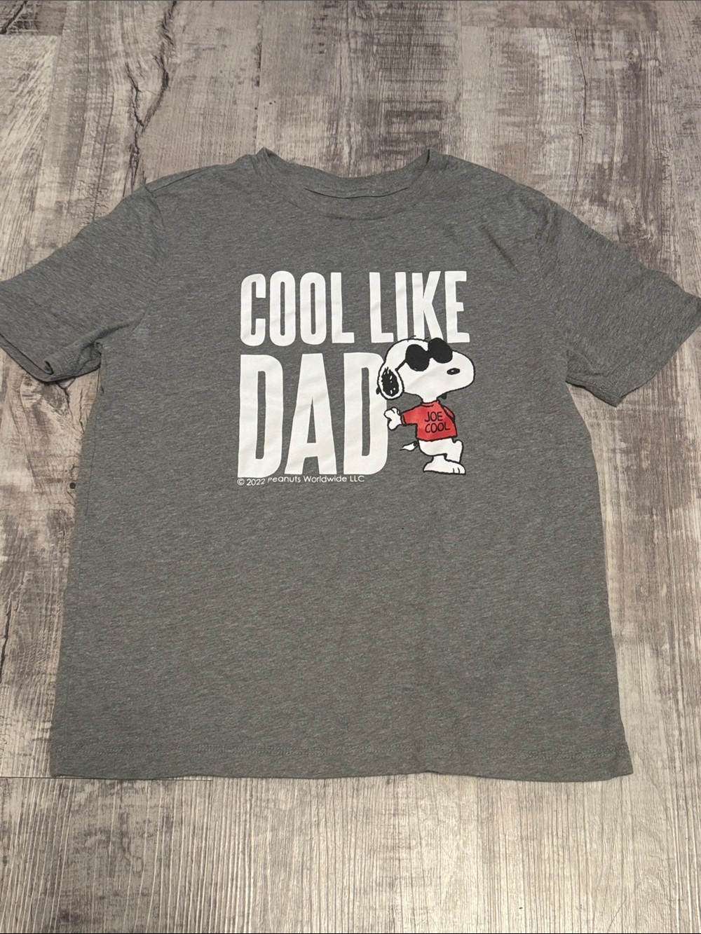 Youth Peanuts "Cool Like Dad" Snoopy Graphic Tee - Gray
